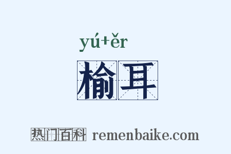 榆耳是什么意思的图片